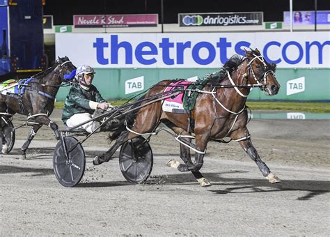 harness racing nz horse search.